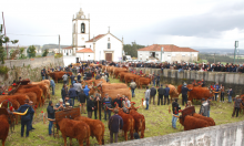 Feira Anual Bagunte