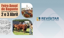 Feira do Gado em Bagunte, uma iniciativa secular.